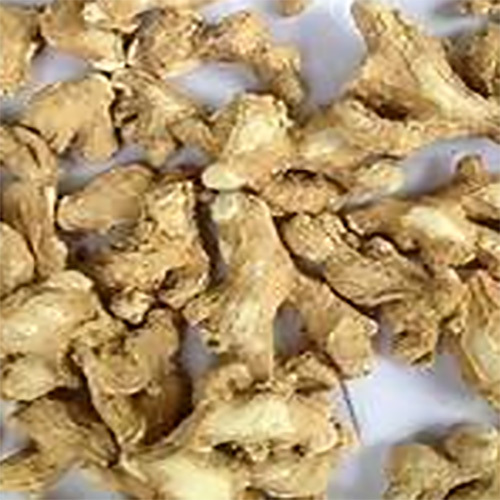 Dried Ginger - Cultivation Type: Organic
