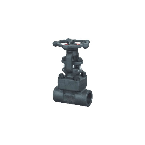 Forged Globe Valve - Color: Grey