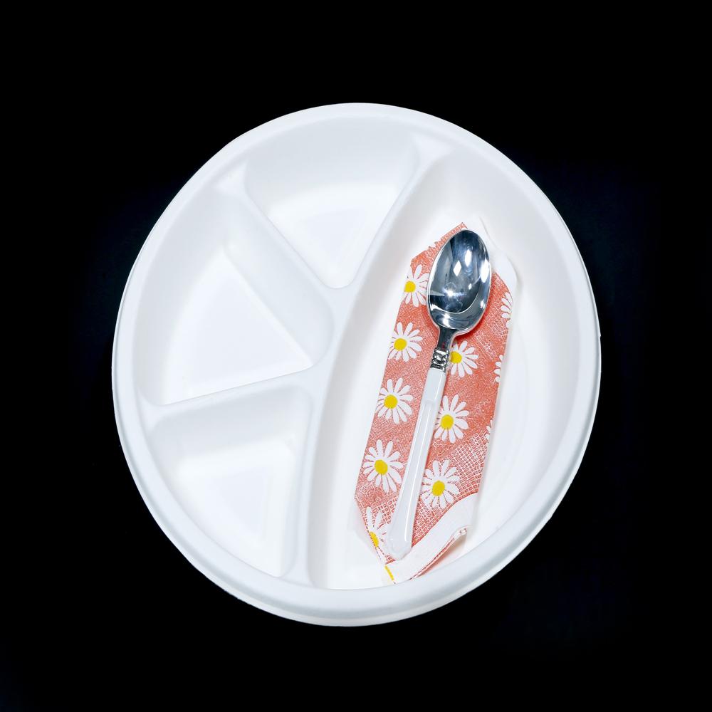 11 Inch 4 Compartment Sugercane Bagasse Round Plate