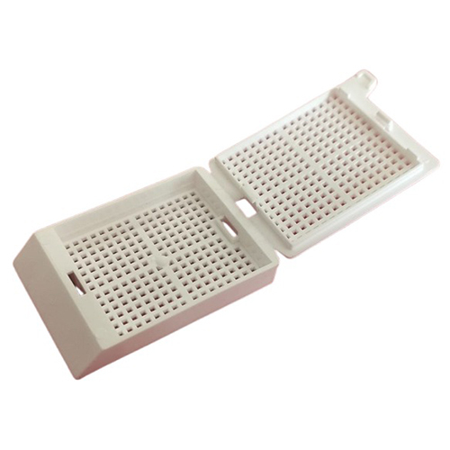 Rectangular Tissue Embedded Cassette