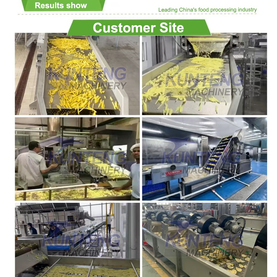 Commercial French Fry Production Line,Potato chip frying machine