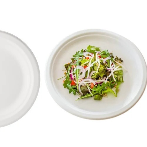 9 Inch Round Bagasse Disposable Plate