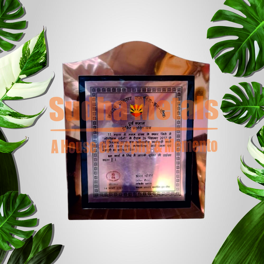 Frame Citation