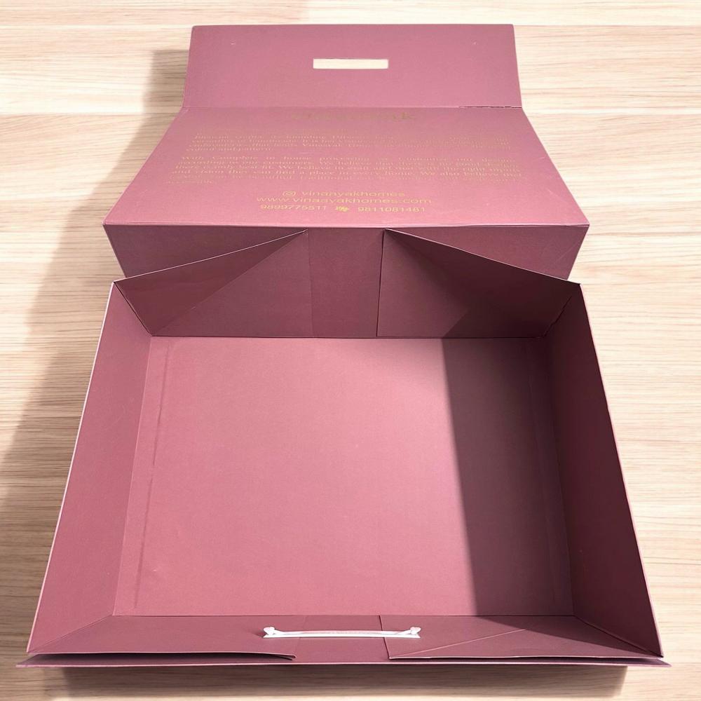 Collapsible Plastic Handle Collapsible Box in Briefcase Style