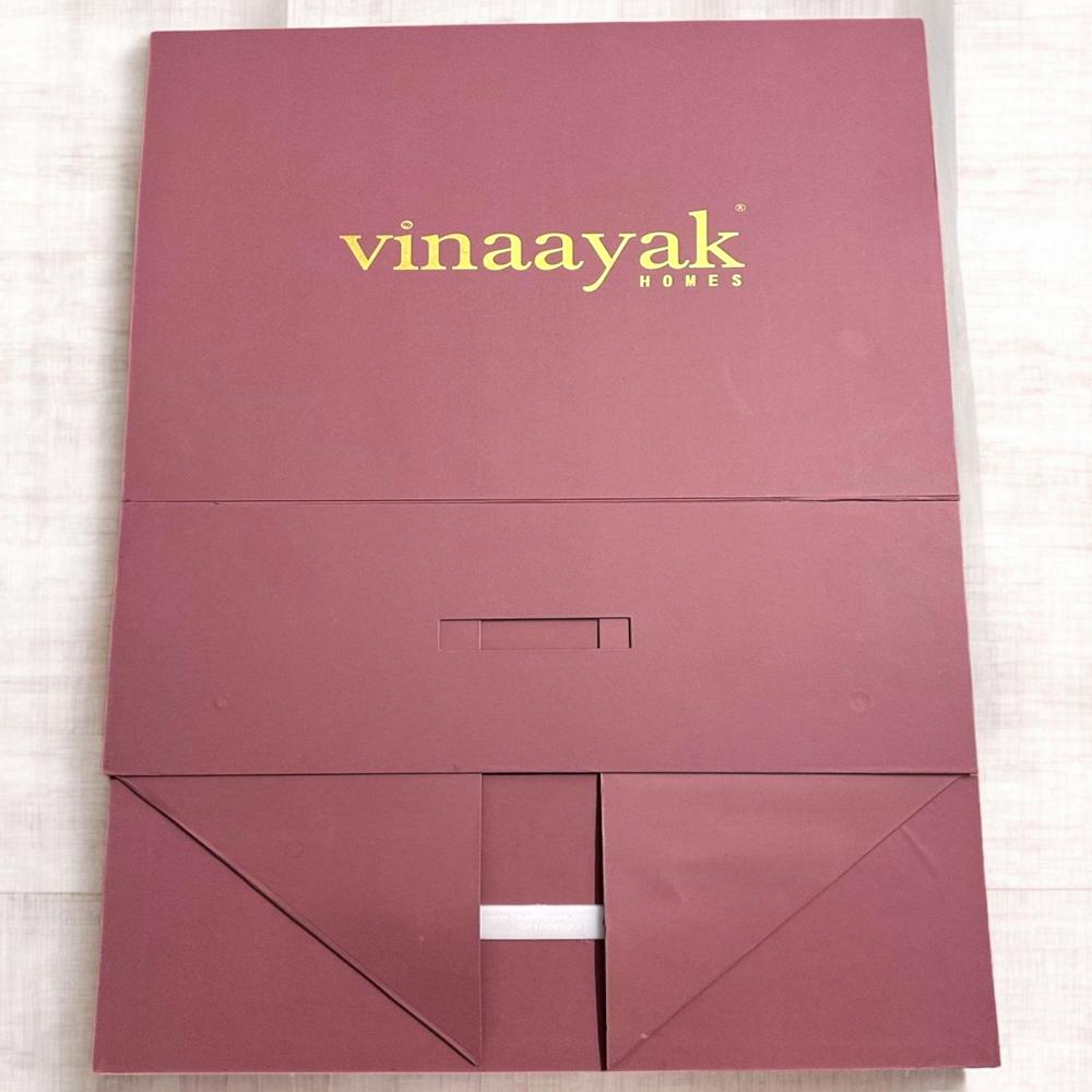 Collapsible Plastic Handle Collapsible Box in Briefcase Style