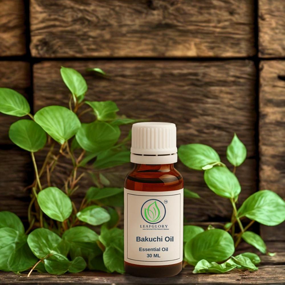 Bakuchi Oil (Babchi Oil) | Natural Psoralea Corylifolia | Traditional Skincare & Therapeutic Applications | Wholesale Manufacturer & Exporter | Leafglory