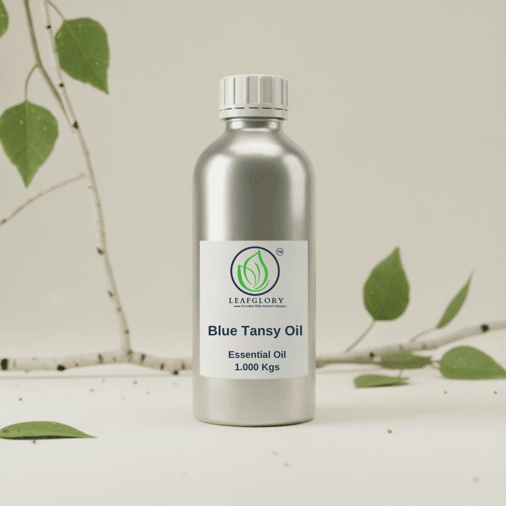 Blue Tansy Oil | Soothing Luxury Skincare & Premium Aromatherapy Oil | Wholesale Manufacturer & Exporter from India | Leafglory