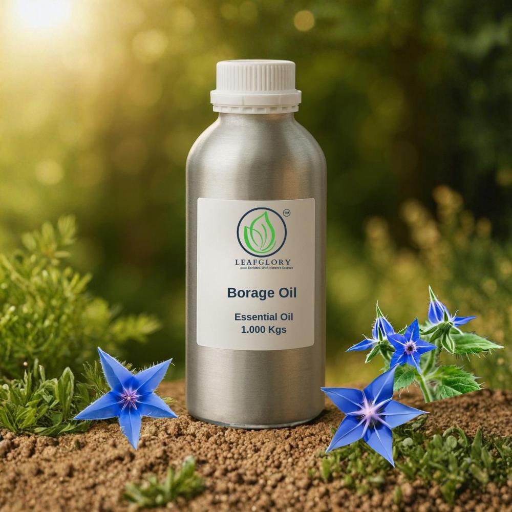 Pure Cold Pressed Borage Seed Oil | Carrier Oil For Cosmetics, Nutraceuticals & Wellness | Wholesale Manufacturer & Exporter | Leafglory - Cas No: 84012-16-8