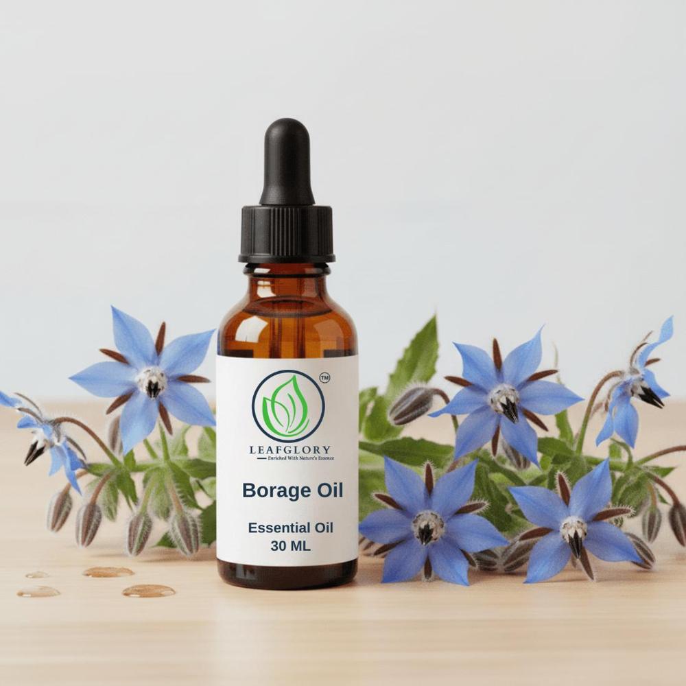Pure Cold Pressed Borage Seed Oil | Carrier Oil for Cosmetics, Nutraceuticals & Wellness | Wholesale Manufacturer & Exporter | Leafglory