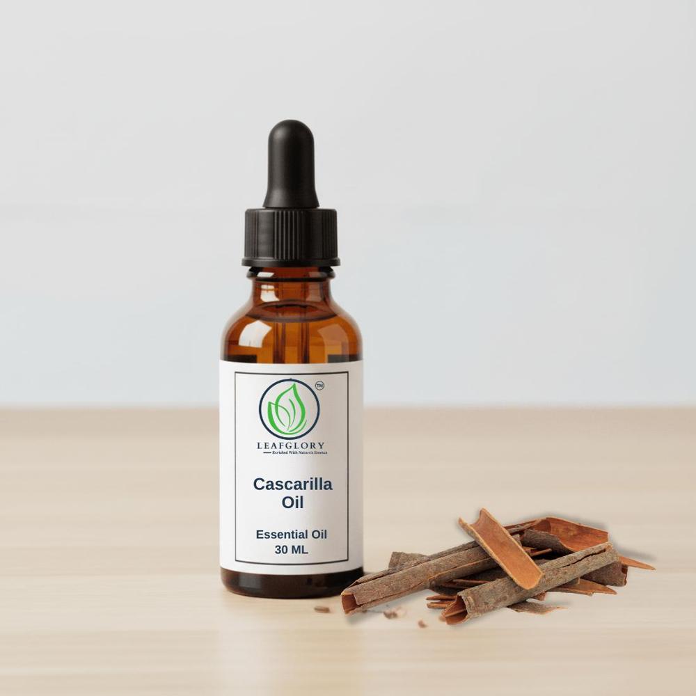 Pure Cascarilla Essential Oil | Premium Perfumery , Traditional Wellness & Therapeutic Applications | Wholesale Manufacturer & Exporter from India | Leafglory