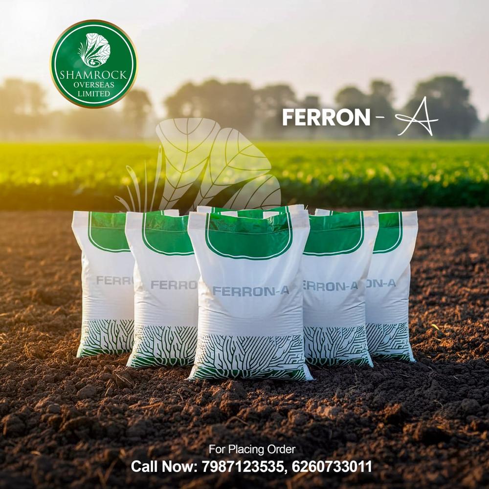 Eddha Fe 6% Powder (Ortho-ortho) Chelated - Application: Agriculture