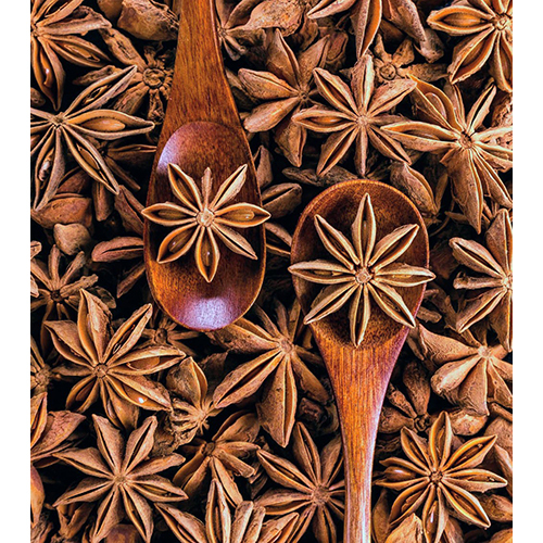 Star Anise Spices