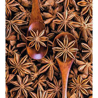 Star Anise Spices - Color: Brown