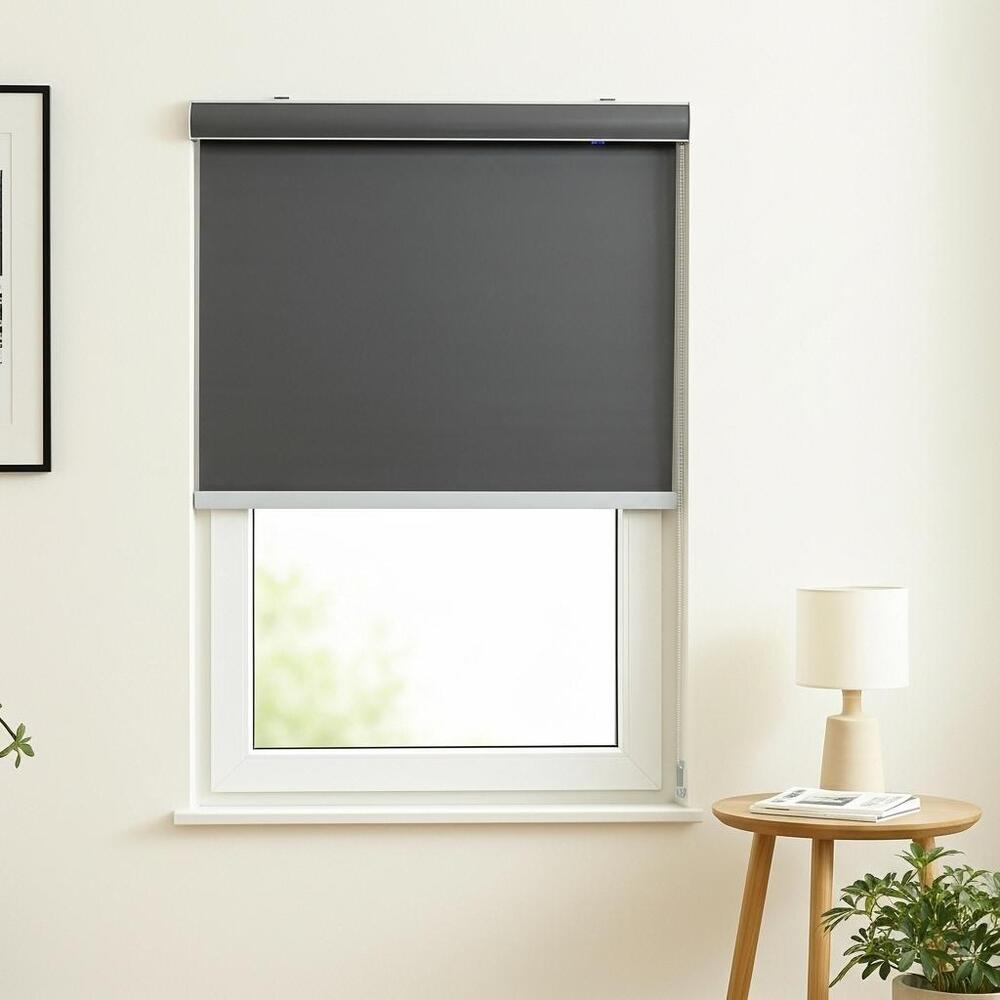 Roller Blinds - Color: Gray