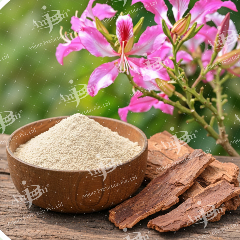 Kachnar (Bauhinia tomentosa)