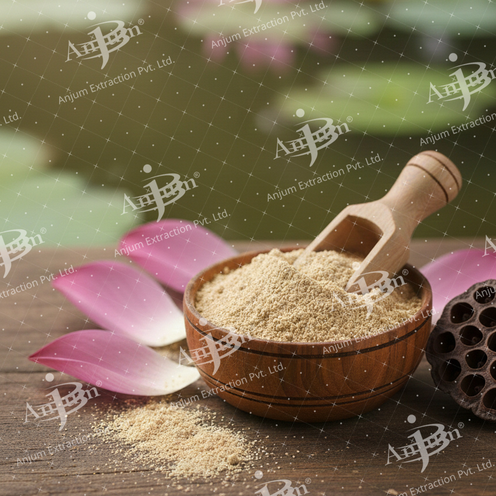 Kamalpushp (Nelumbium speciosum)