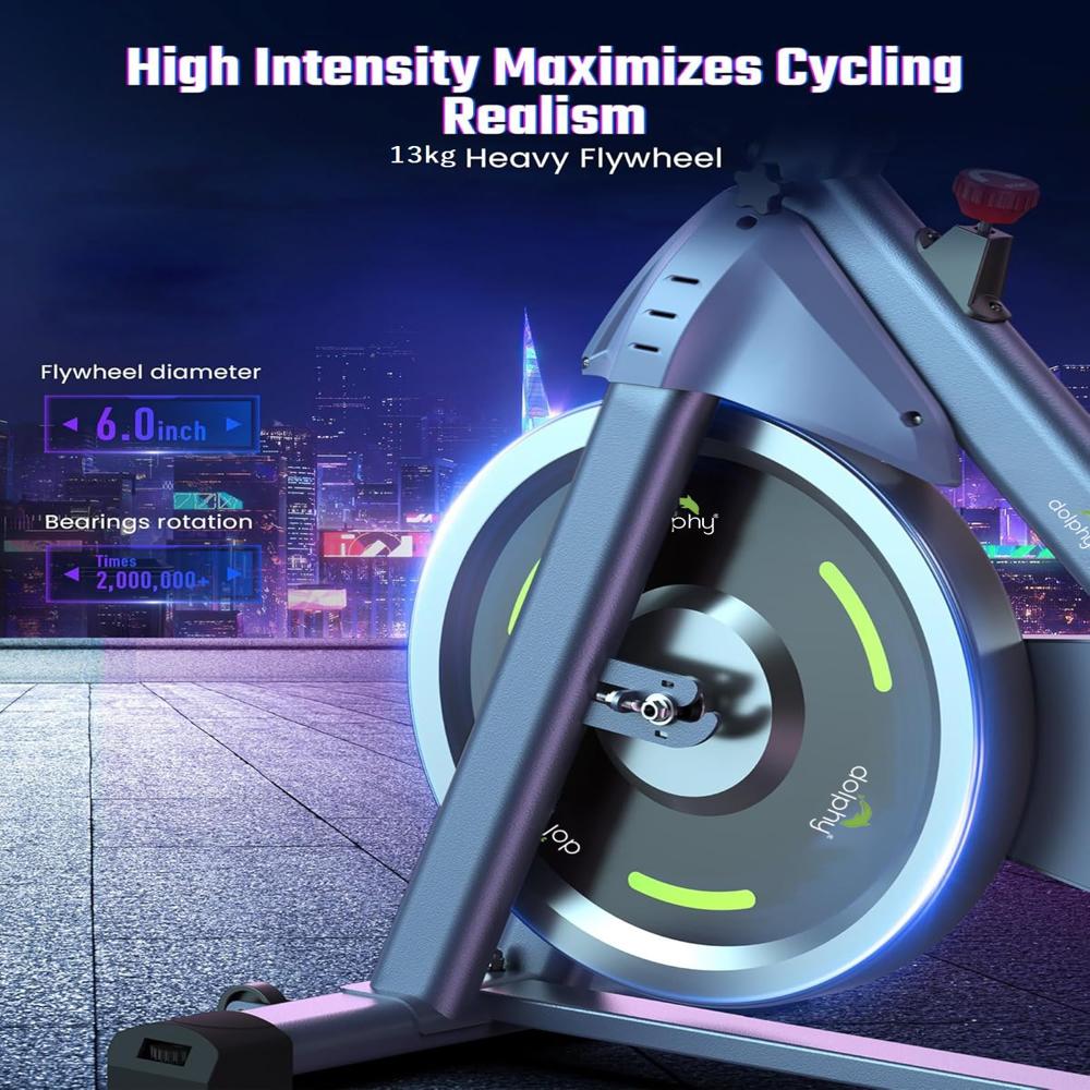 Dolphy Spin Exercise Bike - Application: Cardio