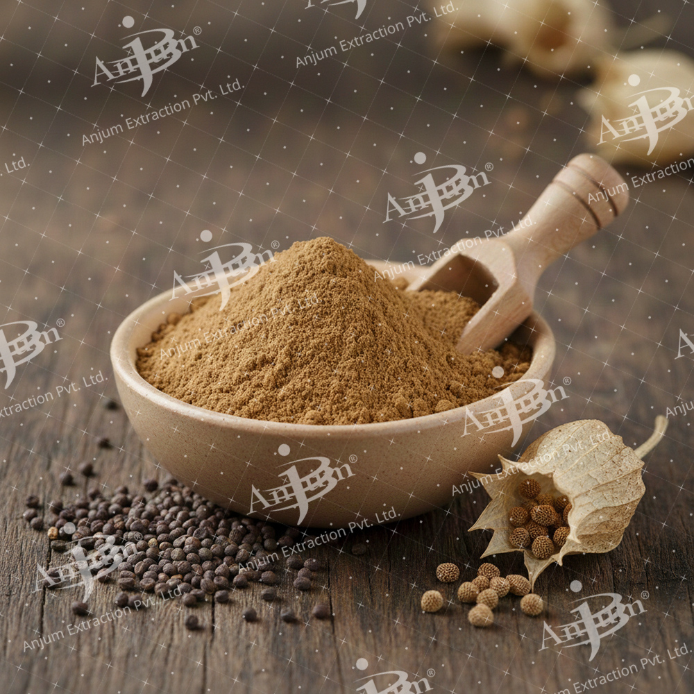 Khurasani Ajwain (Hyoscyamus niger)