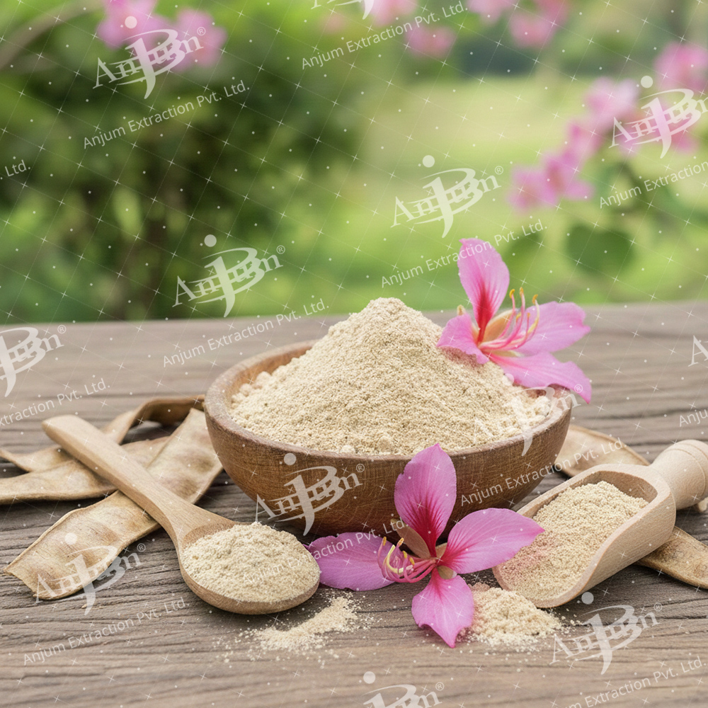 Kachnar (Bauhinia tomentosa)