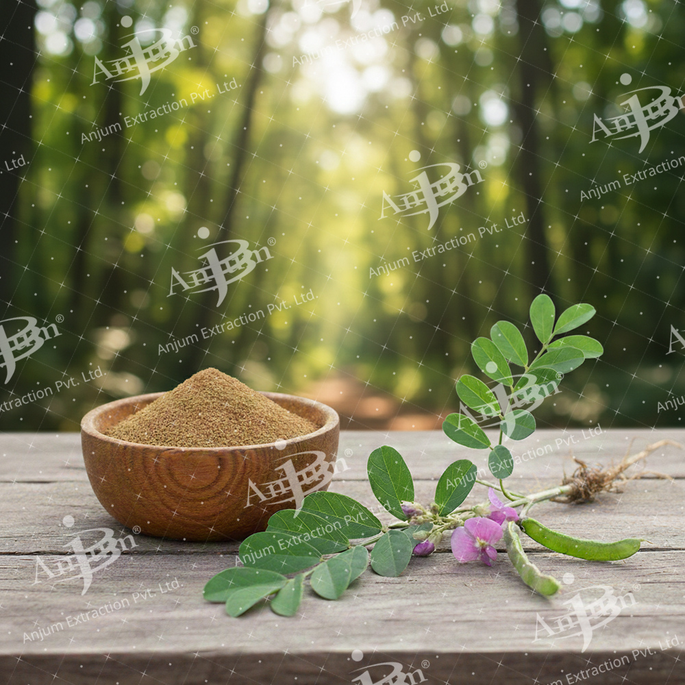 Sarphankha (Tephrosia purpurea)