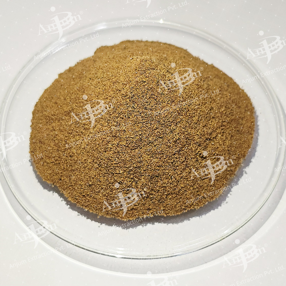 Sarphankha (Tephrosia purpurea)