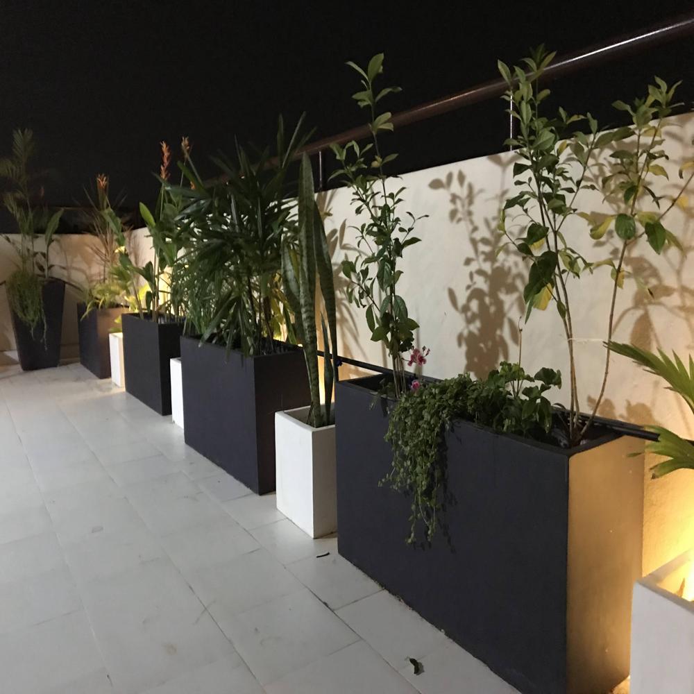 Garden Cement Pots - Dimensions: Various Available Millimeter (Mm)