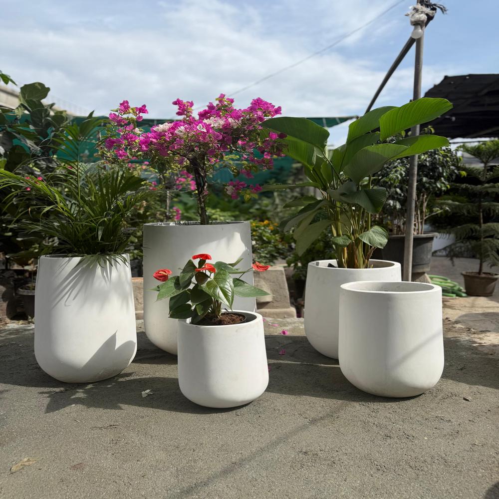 Garden Cement Pots - Dimensions: Various Available Millimeter (Mm)