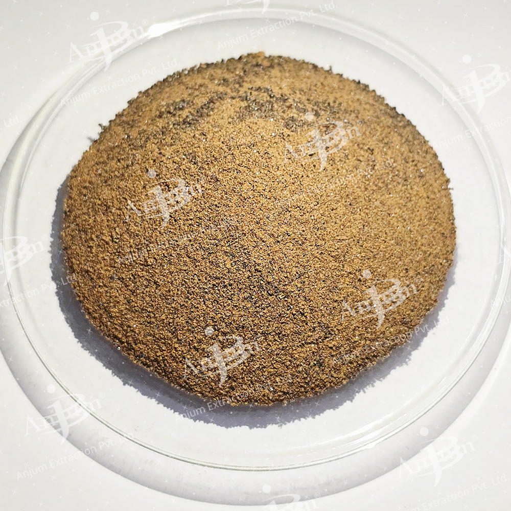 Pashanbhed (Saxifraga ligulata)