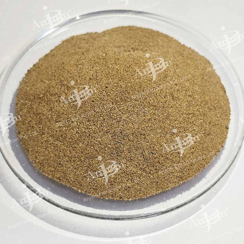 Khurasani Ajwain (Hyoscyamus niger)