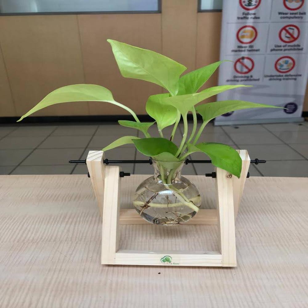 Test Tube Planter - Color: Beige