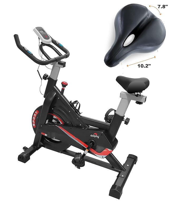 Dolphy Spin Cycling Bike