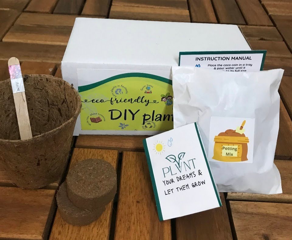 Diy Plant Grow Kit - Color: Multi Color