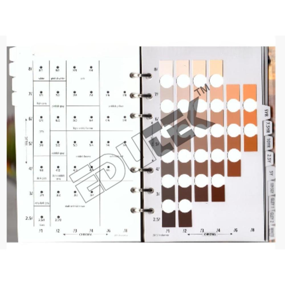 Colour Standard Chart
