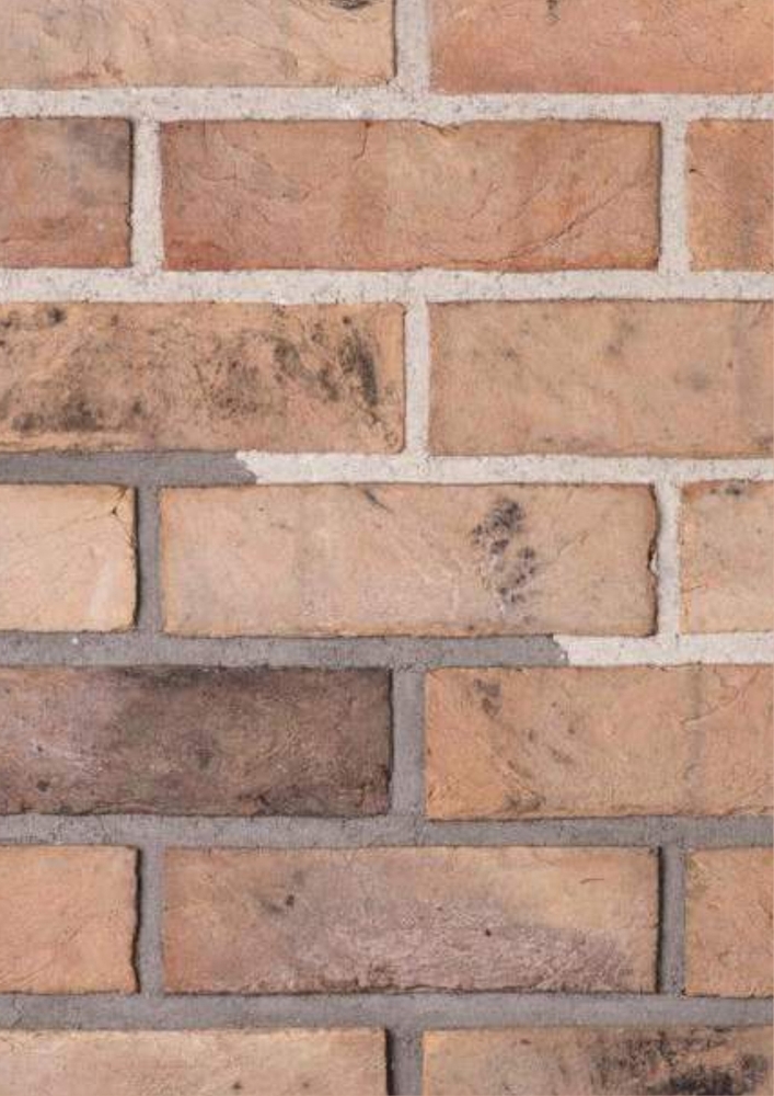 Ivory Sandstone T59 Cladding Bricks - Color: Any Color