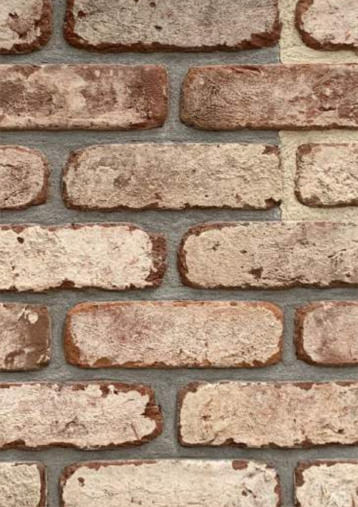 Royal Vermilion T49 Cladding Bricks - Color: Any Color