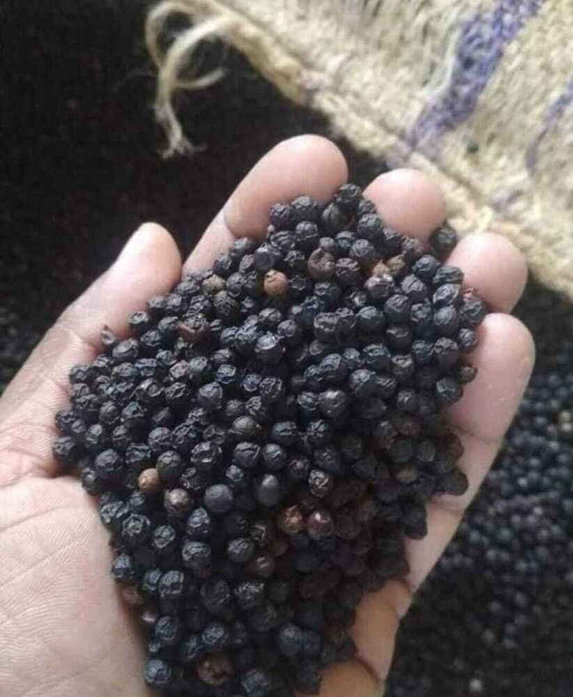 काली मिर्च