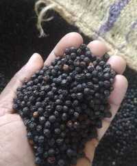 Black Pepper