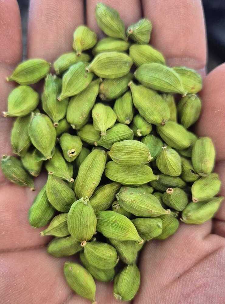 Green Cardamom - Grade: Food Grade