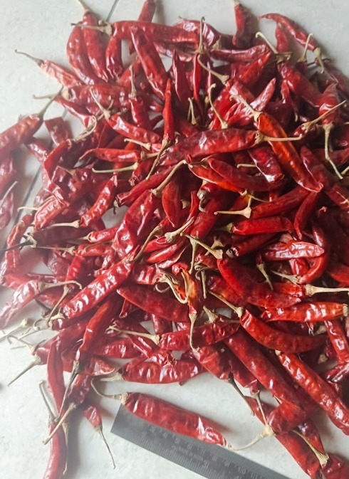 Dried Red Chilli - Grade: Food Grade