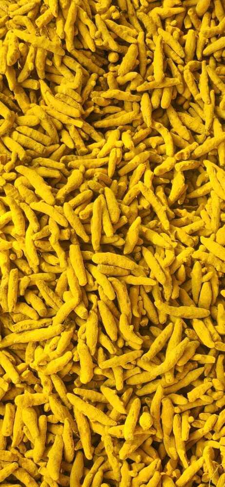 Dried Turmeric Finger