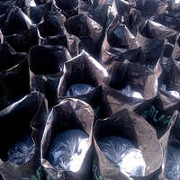 Carbon Black - Application: Industrial