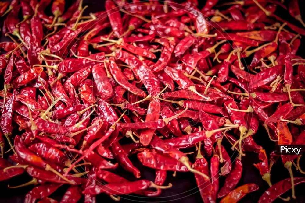 Red Chilli - Flavor: Hot Spicy