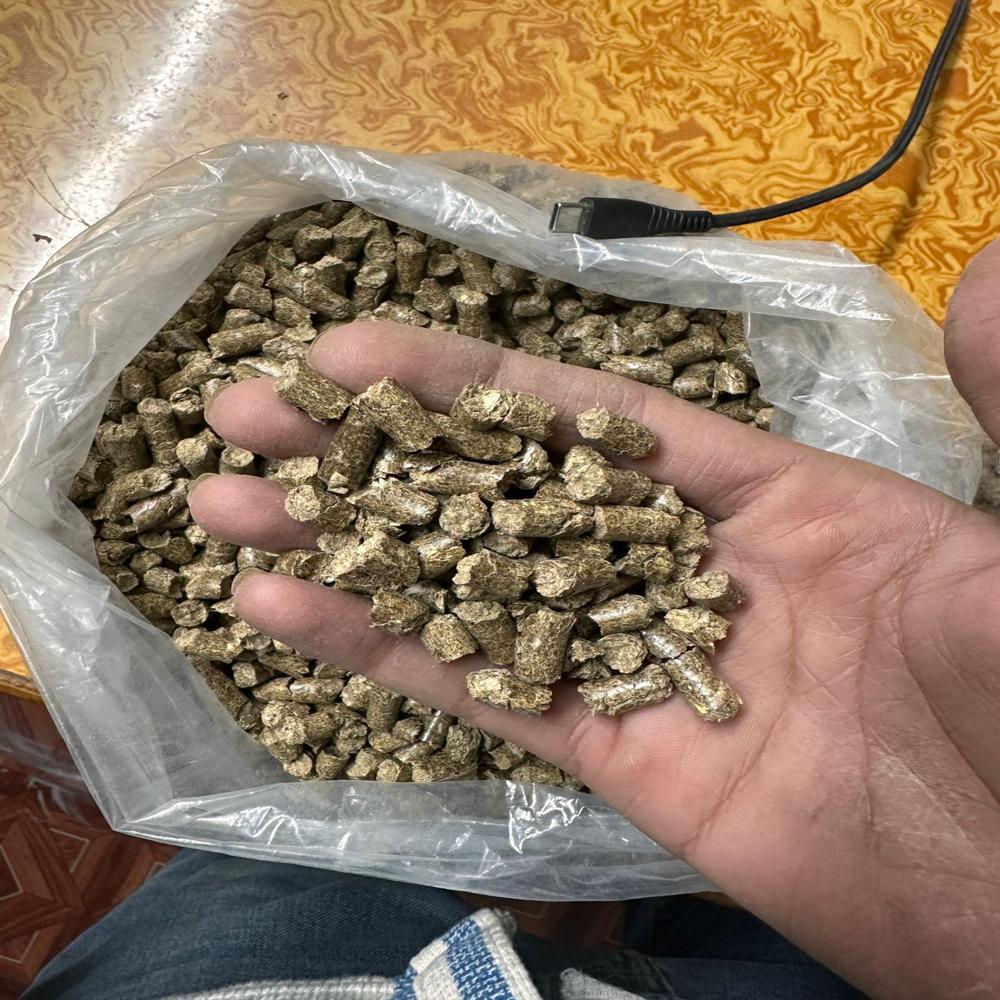 biomass pellets for steam boilers