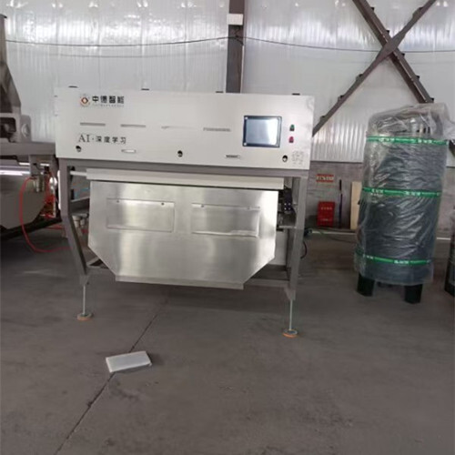 multifunction CCD belt-type Intelligent Color sorter machine ZDL600-128Z for Rice Millet Corn Maize grain benas