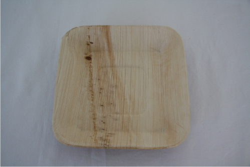 Palm Leaf Plates