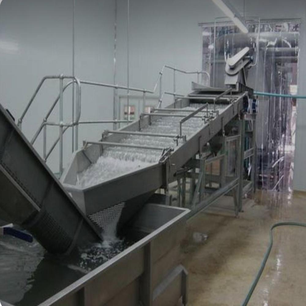 Apple processing plant