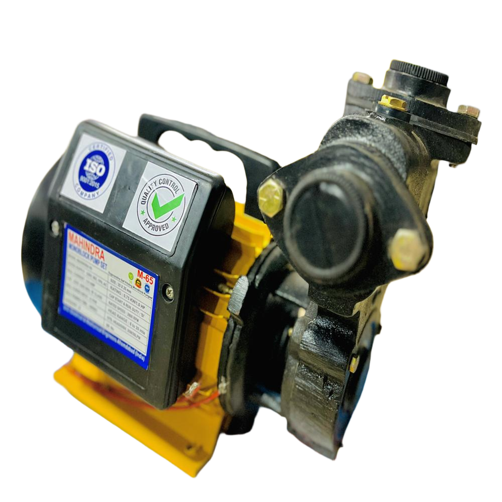 Monoblock Pump With Copper Winding - Color: Black