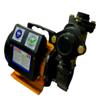 Monoblock Pump with Copper Winding