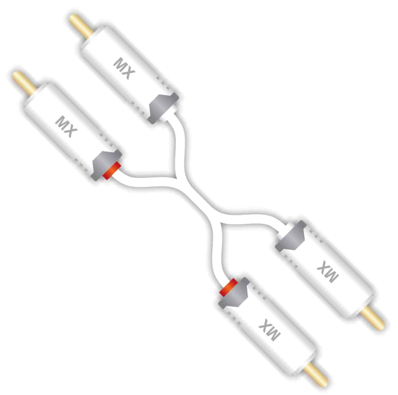 Mx 2 Rca Male To 2 Rca Male Cord 2 Mtr - Color: White