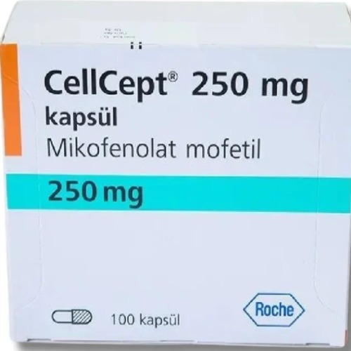 Cellcept 250 mg Tablet